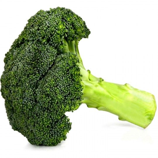 Brocoli