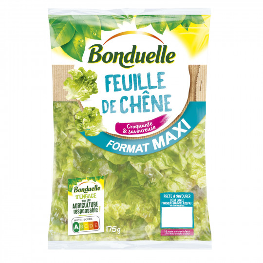 Salade jeune feuille de chene bonduelle